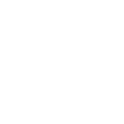 Ravenbrain Logo